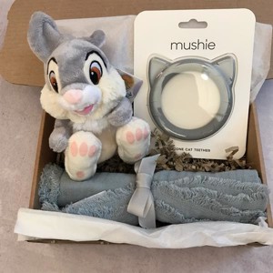 MIDI BABYBOY - STAMPE